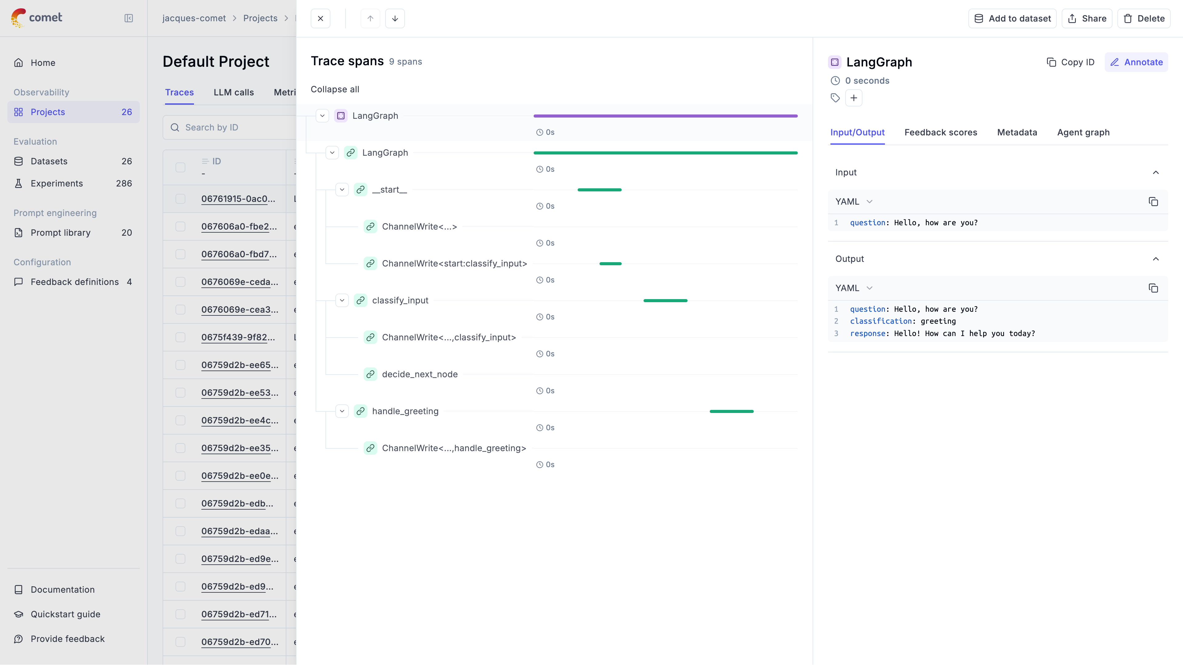 Agent execution flow