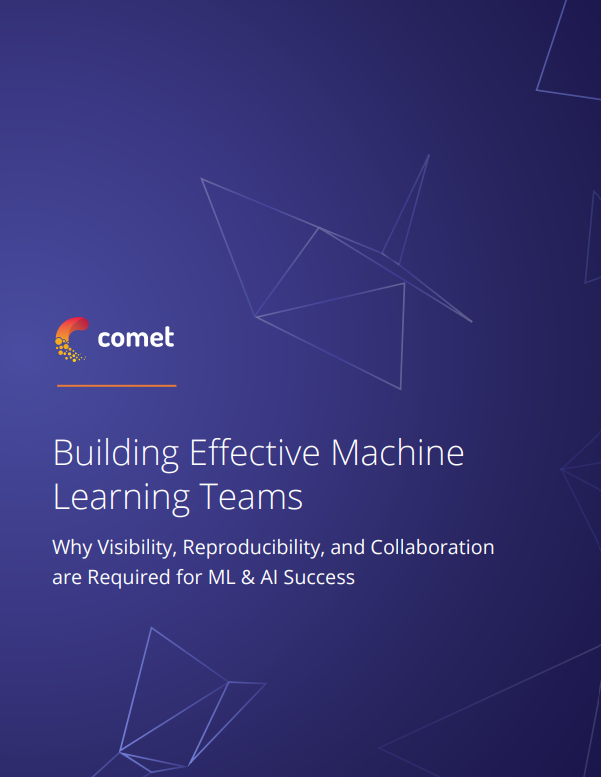 Building Effective Machine Learning Teams cover